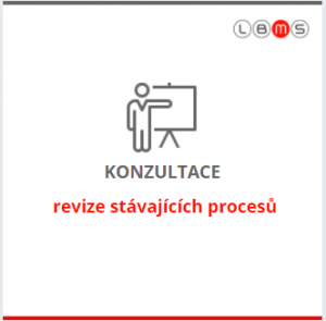 konzultace a revize modelování procesů